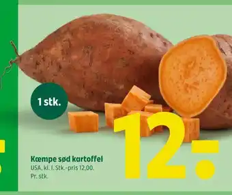 Coop 365 Kæmpe sød kartoffel tilbud