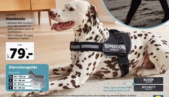 Lidl Hundesele tilbud