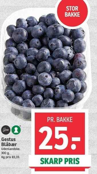 SPAR Gestus blåbær tilbud