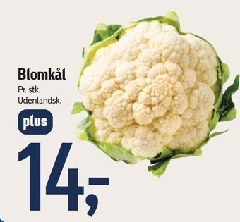 Føtex Blomkål tilbud