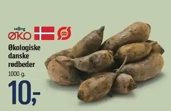 Føtex Øko danske rødbeder tilbud