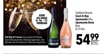 Scavi & ray spumante el. spumante rosé