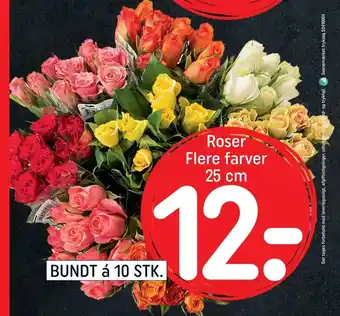 REMA 1000 Roser Flere Farver 25cm tilbud
