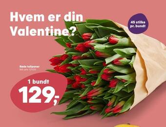 SuperBrugsen Røde tulipaner tilbud