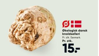 Bilka Økologisk dansk knoldselleri tilbud