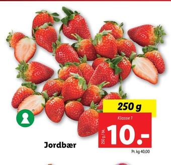 Jordbær