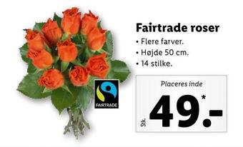 Lidl Fairtrade roser tilbud
