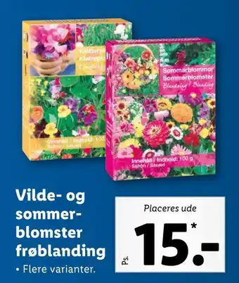 Vilde- og sommer blomster frøblanding