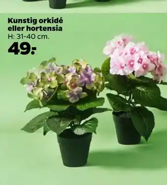 Netto Kunstig orkidé eller hortensia tilbud