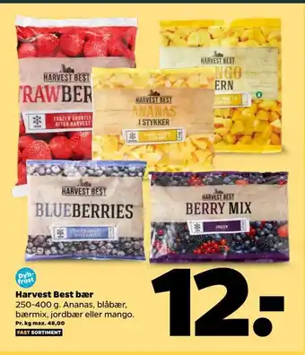 Netto Harvest best bær tilbud