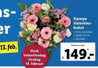 Lidl Kæmpe valentines-buket 28 stilke tilbud