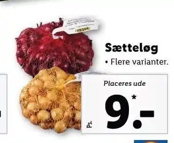 Lidl Sætteløg, flere varianter tilbud