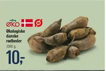 Føtex Salling øko rødbeder tilbud