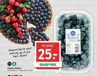 SPAR Gestus blåbær tilbud