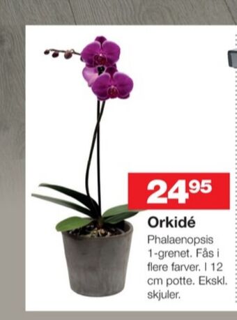 Bauhaus Ukendt planter tilbud