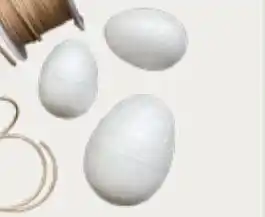 Æg