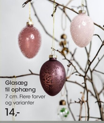 Glasæg Til Ophæng