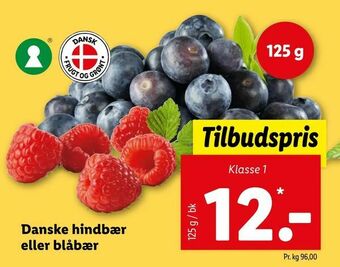 Danske hindbær eller blåbær