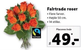 Lidl Fairtrade roser tilbud