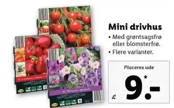 Lidl Mini drivhus tilbud