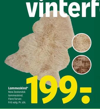 Lammeskind