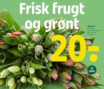 Coop 365 Tulipaner tilbud