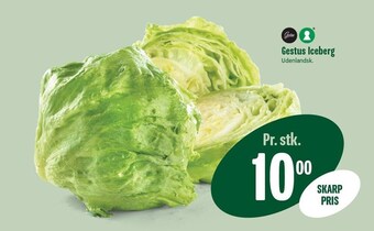 Gestus iceberg