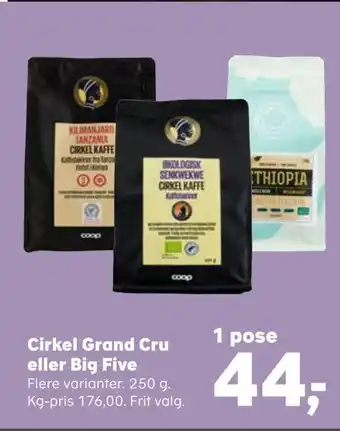 Cirkel grand cru eller big five