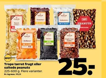 Netto Trope tørret frugt eller saltede peanuts tilbud