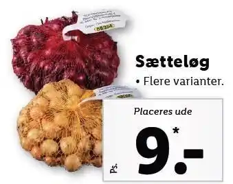 Lidl Sætteløg tilbud