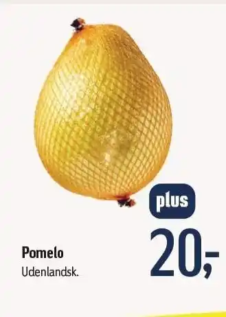 Pomelo - medlemspris