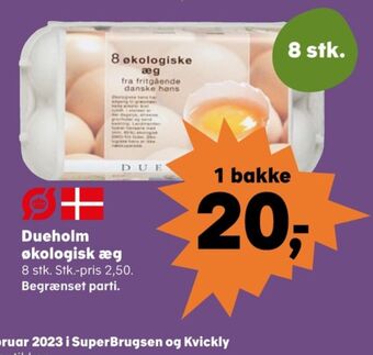 Kvickly Dueholm æg tilbud