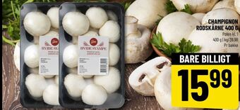Løvbjerg Gestus champignon tilbud
