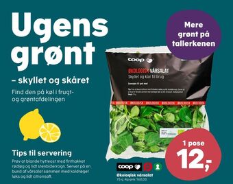 SuperBrugsen Coop c salat tilbud
