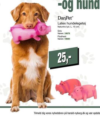 Harald Nyborg Latex hundelegetøj tilbud