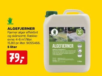 Grønne fingre algemiddel