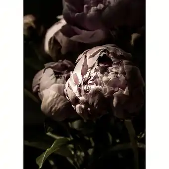 Art card secret garden, postkort, flourish