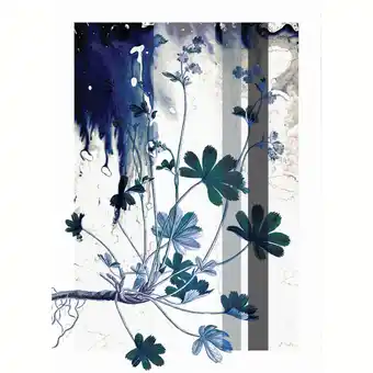 Art card flora danica, postkort, blue flower 02