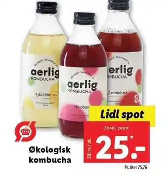 Aerlig økologisk kombucha
