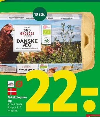 Coop 365 365 økologiske æg tilbud