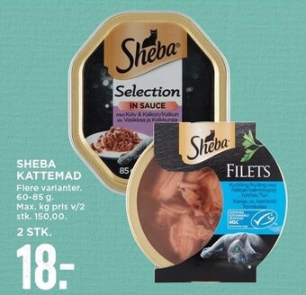 Sheba kattemad