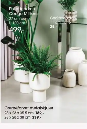 Bilka Cremefarvet metalskjuler eller chamaedorea tilbud