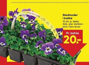 Bilka Stedmoder i bakke tilbud