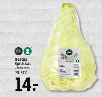 SPAR Gestus spidskål tilbud