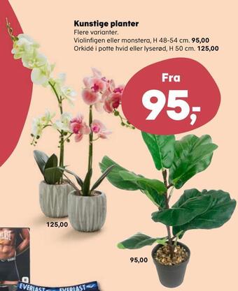 Kvickly Kunstige planter tilbud