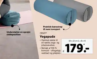 Yogapude