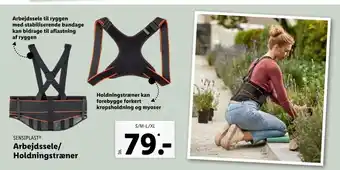 Lidl Arbejdssele/Holdningstræner tilbud