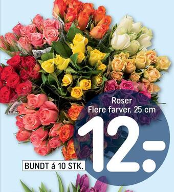 REMA 1000 Roser tilbud