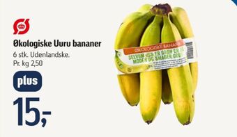 Ukendt bananer