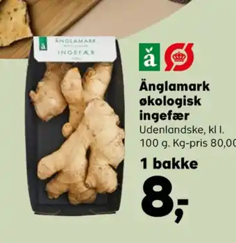 Änglamark ingefær